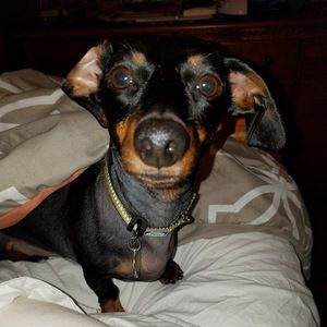 Meet your Posher, Whitney